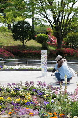 伊勢原市総合運動公園