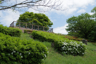 伊勢原市総合運動公園