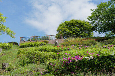 伊勢原市総合運動公園