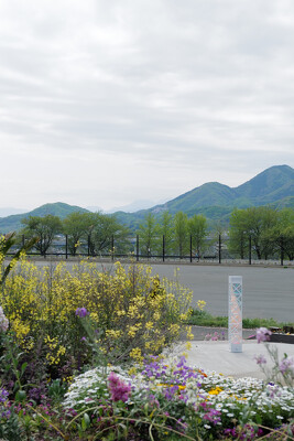 伊勢原市総合運動公園
