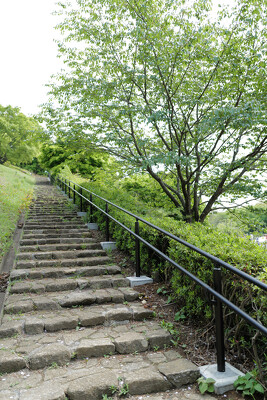 伊勢原市総合運動公園
