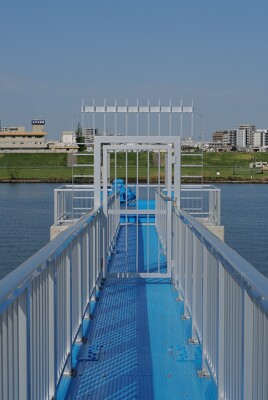 市川南排水樋管
