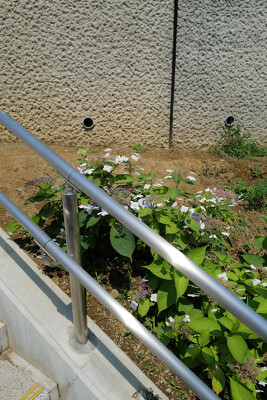 (仮称)滝野川一丁目児童遊園