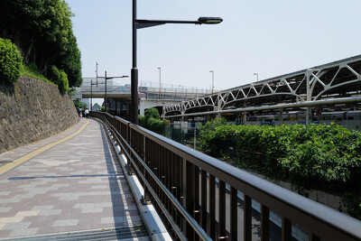 上野公園通り