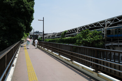 上野公園通り