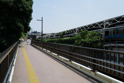 上野公園通り