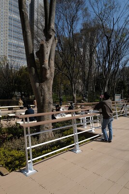 新宿中央公園