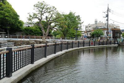 大宮公園