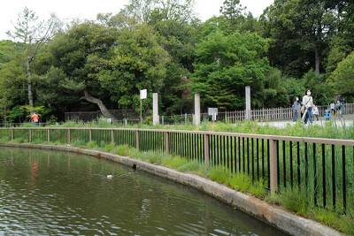 大宮公園