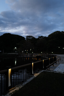 大宮公園