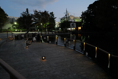 大宮公園