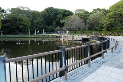 大宮公園
