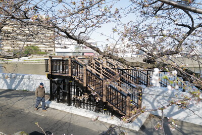 隅田川（新田一丁目付近）