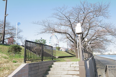 隅田川（西尾久六丁目地区）