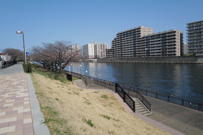 隅田川（西尾久六丁目地区）