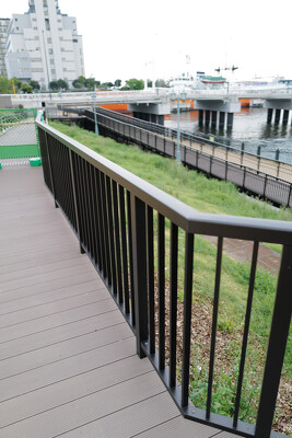 豊海運動公園