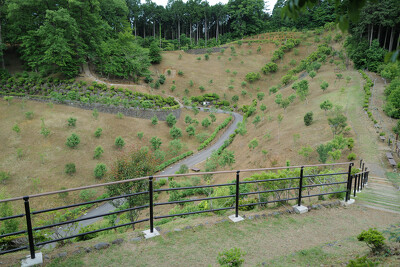 梅の公園