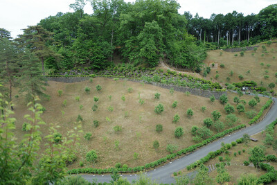梅の公園