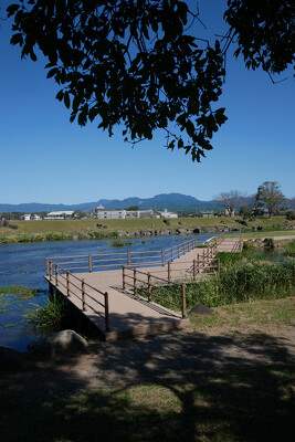 鴨川河畔公園