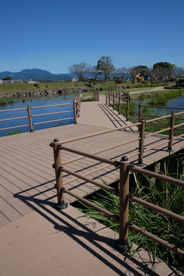 鴨川河畔公園