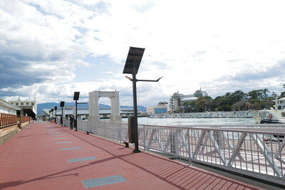 沼津港
