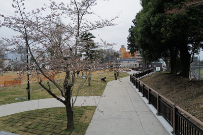 城山公園