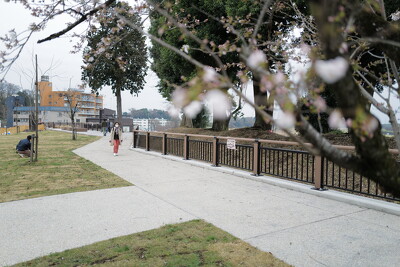 城山公園