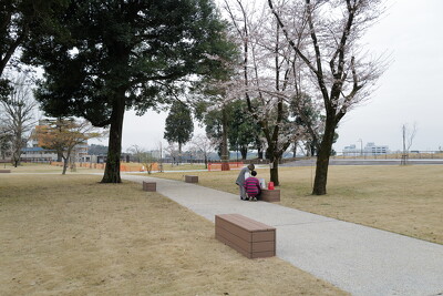 城山公園