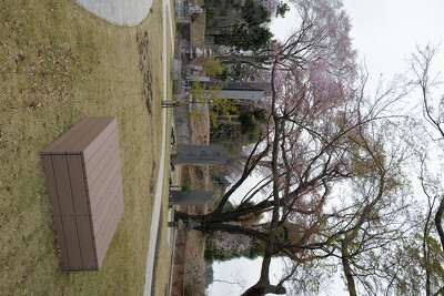 城山公園・ベンチ写真