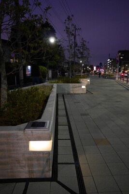 桜新道