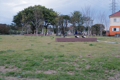 神代植物公園・ベンチ写真