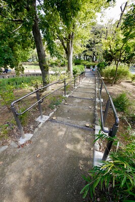 しょうぶ沼公園