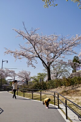 尾張旭市城山公園の施工写真