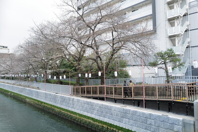 大横川（石島橋下流）