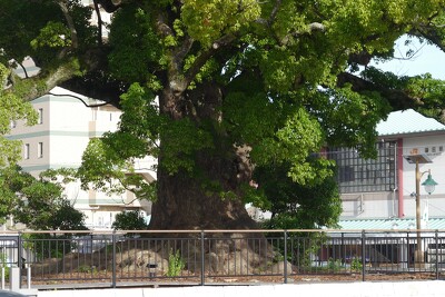 清水羽衣公園