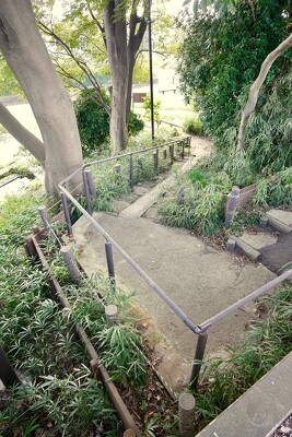 ママ下湧水公園