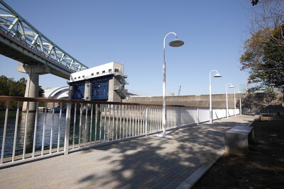 夢の島緑道公園