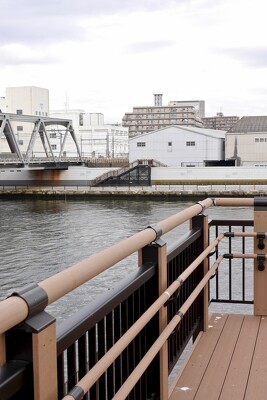 隅田川千住大橋下流