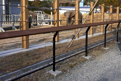 のんほいパーク（豊橋総合動植物公園）