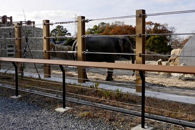 のんほいパーク（豊橋総合動植物公園）