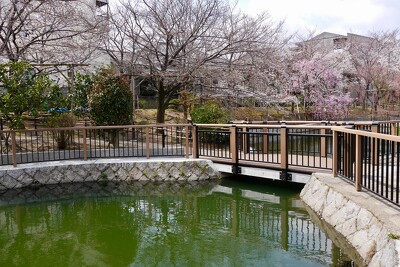 筒井池公園