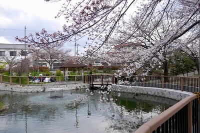 筒井池公園