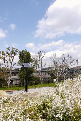 南正雀ふれあい公園