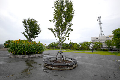 佐賀城公園