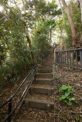 大磯城山公園