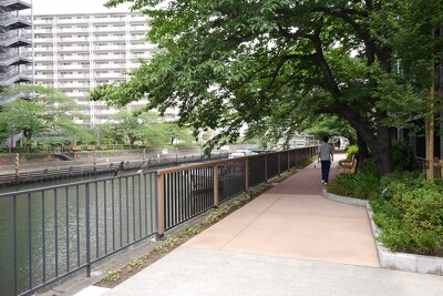 月島川緑の散歩道