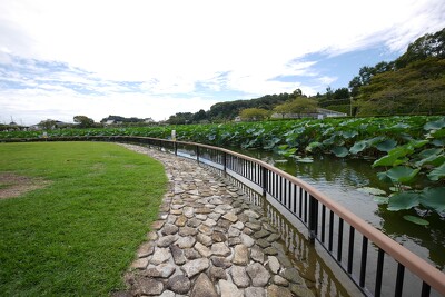 蓮華寺池公園