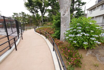 上赤塚公園