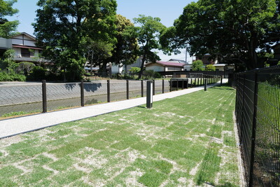 水城公園