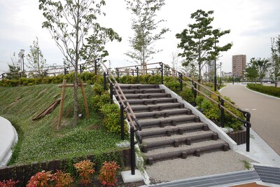健康増進広場